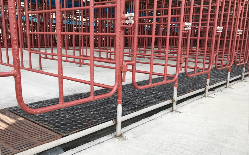 EMPEROR PENGUIN ENT.CO.,LTD. Gestation House 