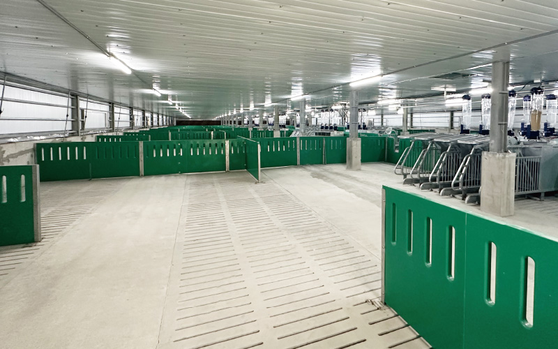 EMPEROR PENGUIN ENT.CO.,LTD. CASE - Automatic Feeding Equipment Gestal 3G