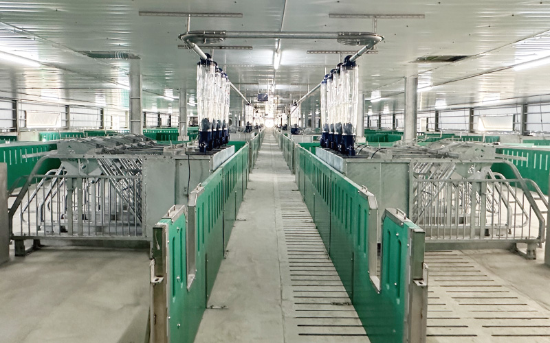 Automatic Feeding Equipment Gestal 3G