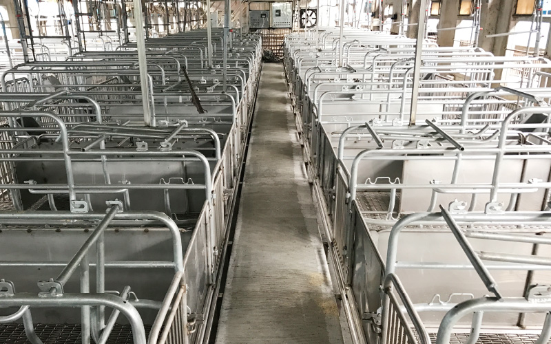 EMPEROR PENGUIN ENT.CO.,LTD. CASE - Farrowing House