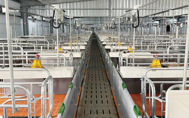 EMPEROR PENGUIN ENT.CO.,LTD. CASE - Farrowing House