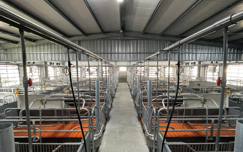 EMPEROR PENGUIN ENT.CO.,LTD. CASE - Farrowing House