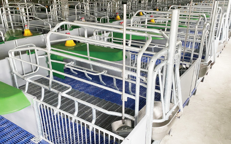 EMPEROR PENGUIN ENT.CO.,LTD. CASE - Farrowing House