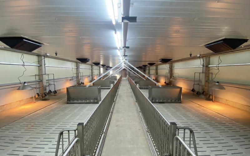 EMPEROR PENGUIN ENT.CO.,LTD. CASE - Nursery House