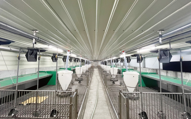 EMPEROR PENGUIN ENT.CO.,LTD. CASE - Nursery House