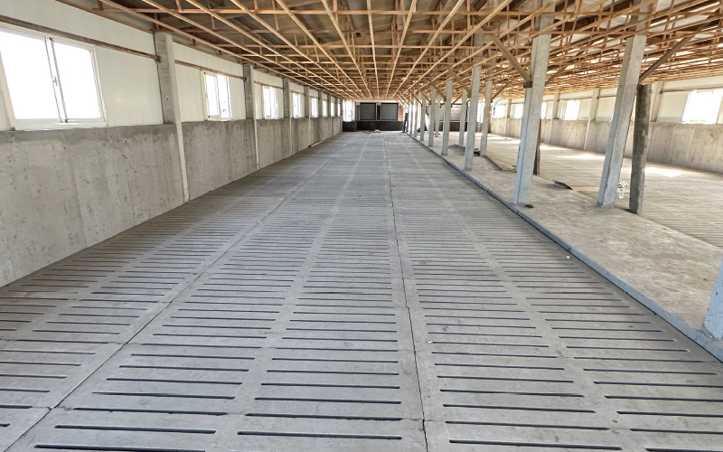 EMPEROR PENGUIN ENT.CO.,LTD. CASE - Finishing House