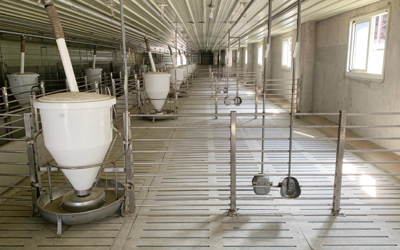 EMPEROR PENGUIN ENT.CO.,LTD. CASE - Finishing House