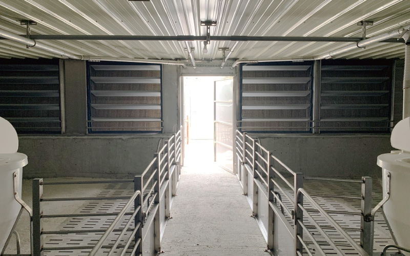 EMPEROR PENGUIN ENT.CO.,LTD. CASE - Finishing House