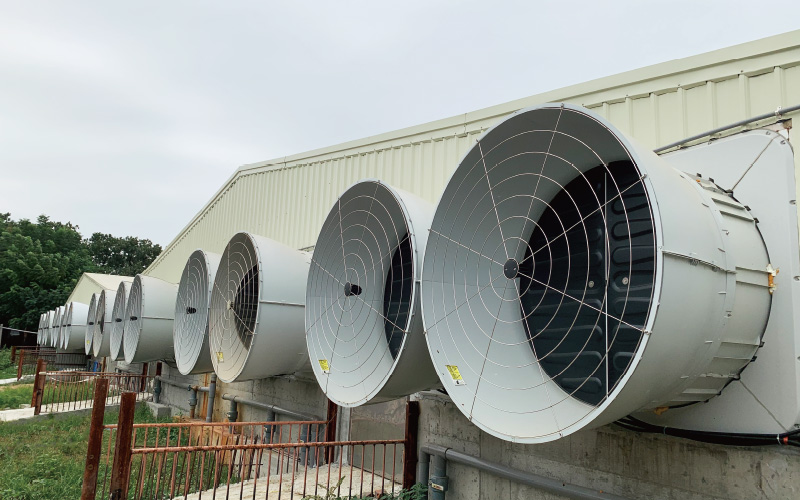 EMPEROR PENGUIN ENT.CO.,LTD. CASE - Finishing House