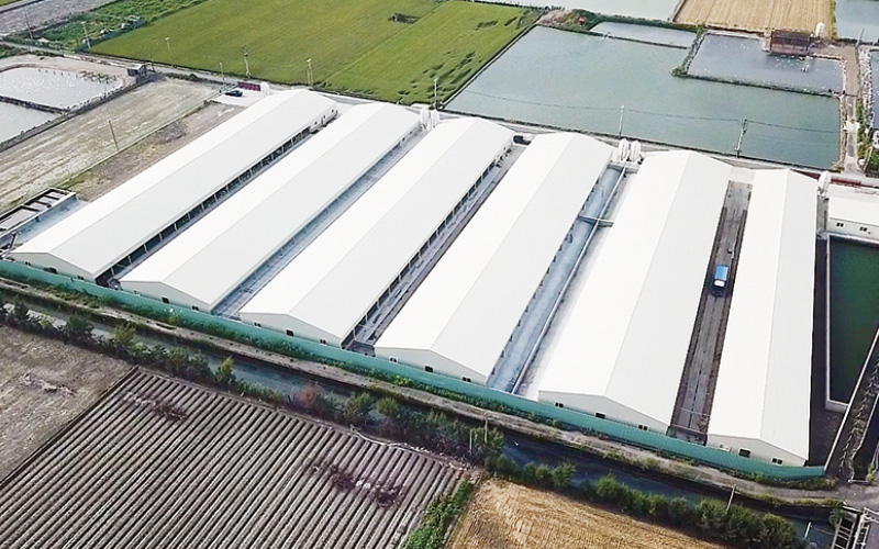 EMPEROR PENGUIN ENT.CO.,LTD. CASE - Duck Farm Building