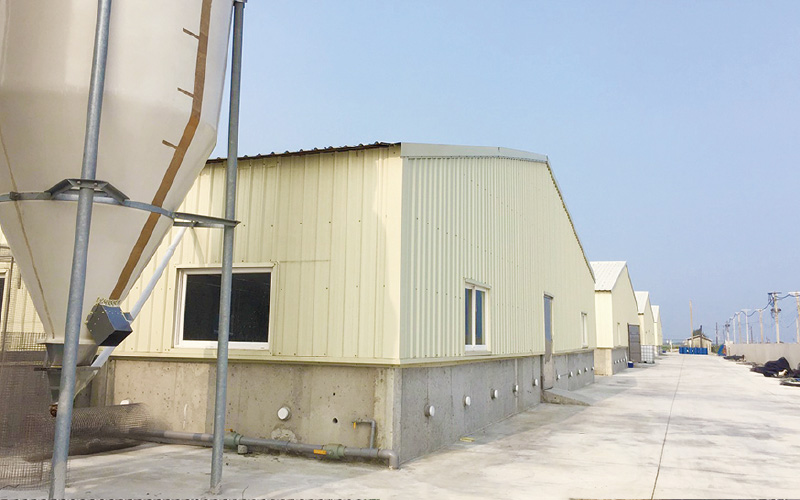 EMPEROR PENGUIN ENT.CO.,LTD. CASE - Duck Farm Building