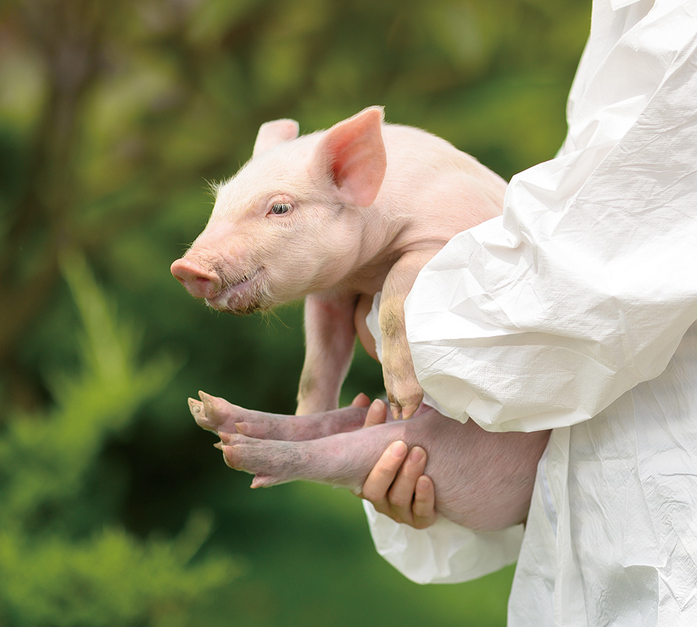 EMPEROR PENGUIN ENT.CO.,LTD.-COMPANY PROFILE