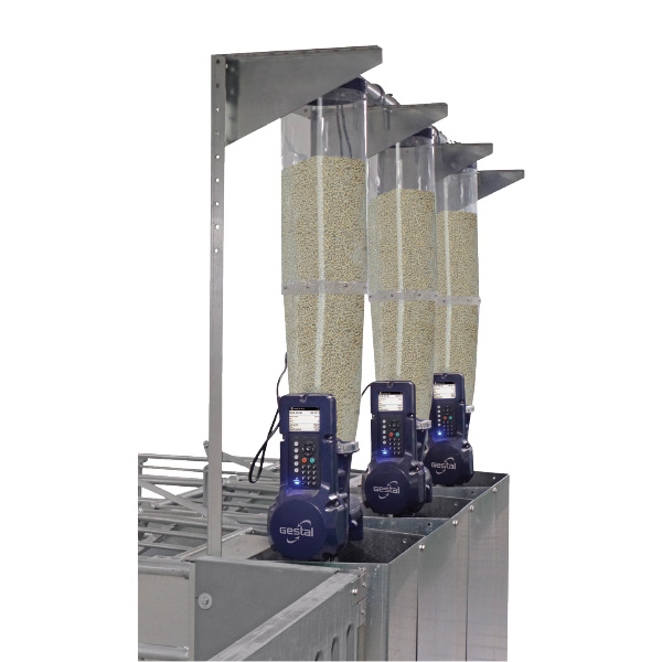 Gestal 3G 待產母豬群養系統