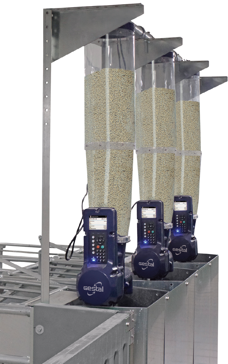 GESTAL 3G 待產母豬群養系統