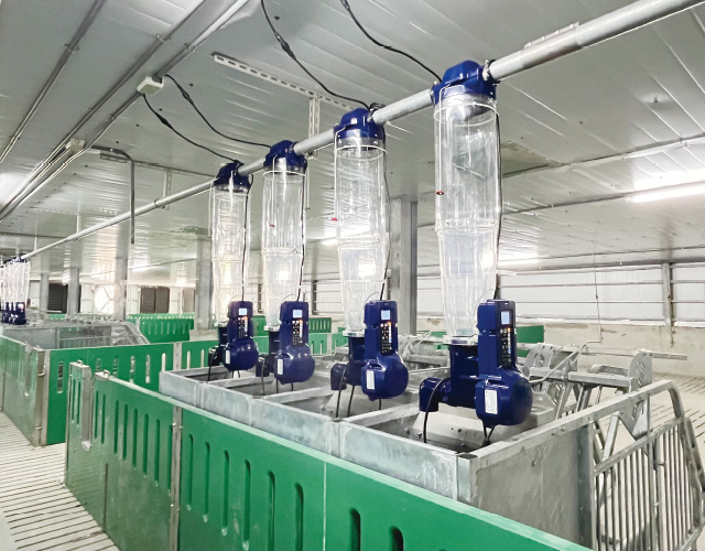 GESTAL 3G 待產母豬群養系統