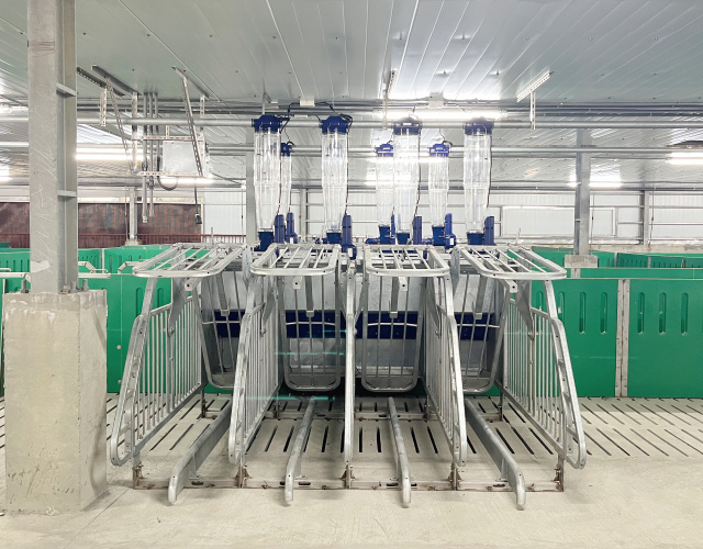 GESTAL 3G 待產母豬群養系統