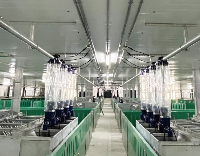 GESTAL 3G 待產母豬群養系統