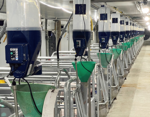 GESTAL FOCUS 哺乳母豬餵飼系統