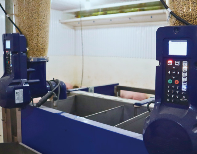 GESTAL SELECT 種豬性能測定系統