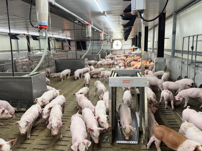 TEMU智慧設備-雲端智慧秤重系統-產品應用