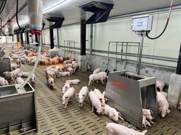 TEMU智慧設備-雲端智慧秤重系統-產品應用