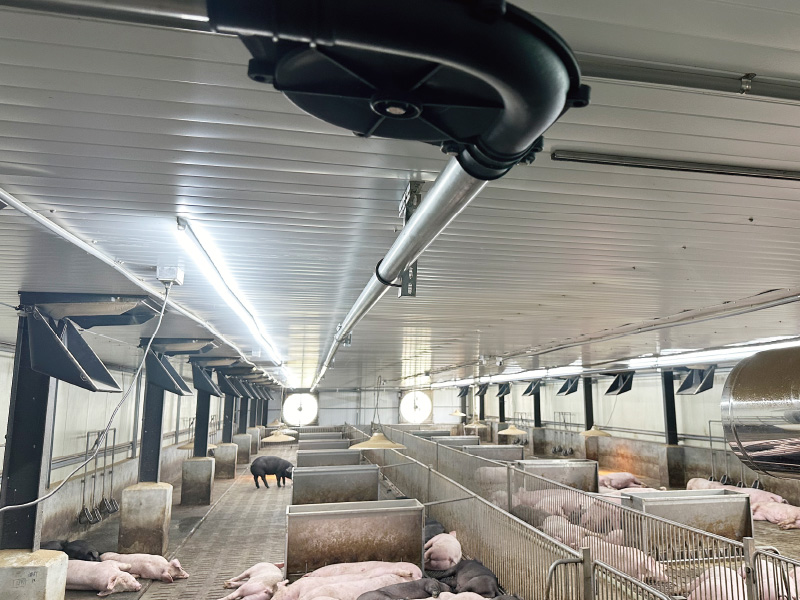 TEMU智慧輸送系統-產品應用