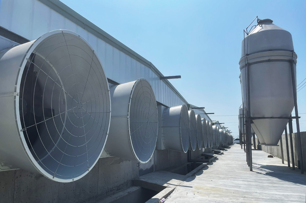 SKOV 智慧環控，引領畜牧未來