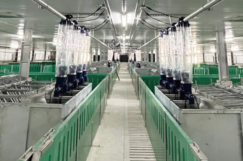 GASTAL 智慧養豬升級，效能全面啟動