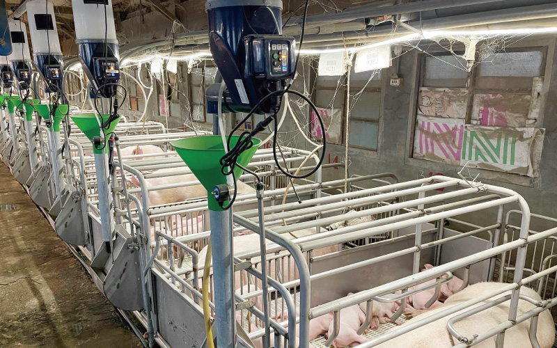 金榮鐵工廠 / 詮懋實業有限公司 娩智能餵食工程-實績案例