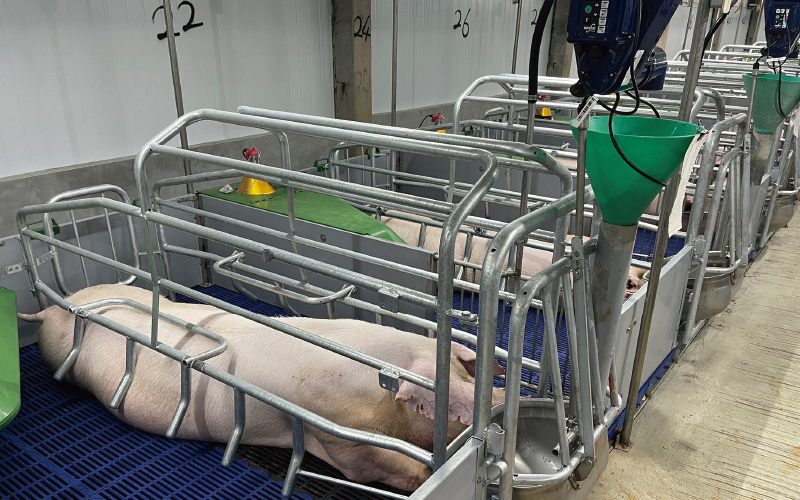 分娩智能餵食工程