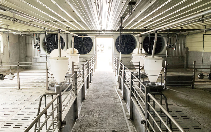 金榮鐵工廠 / 詮懋實業有限公司 肉豬舍工程-實績案例