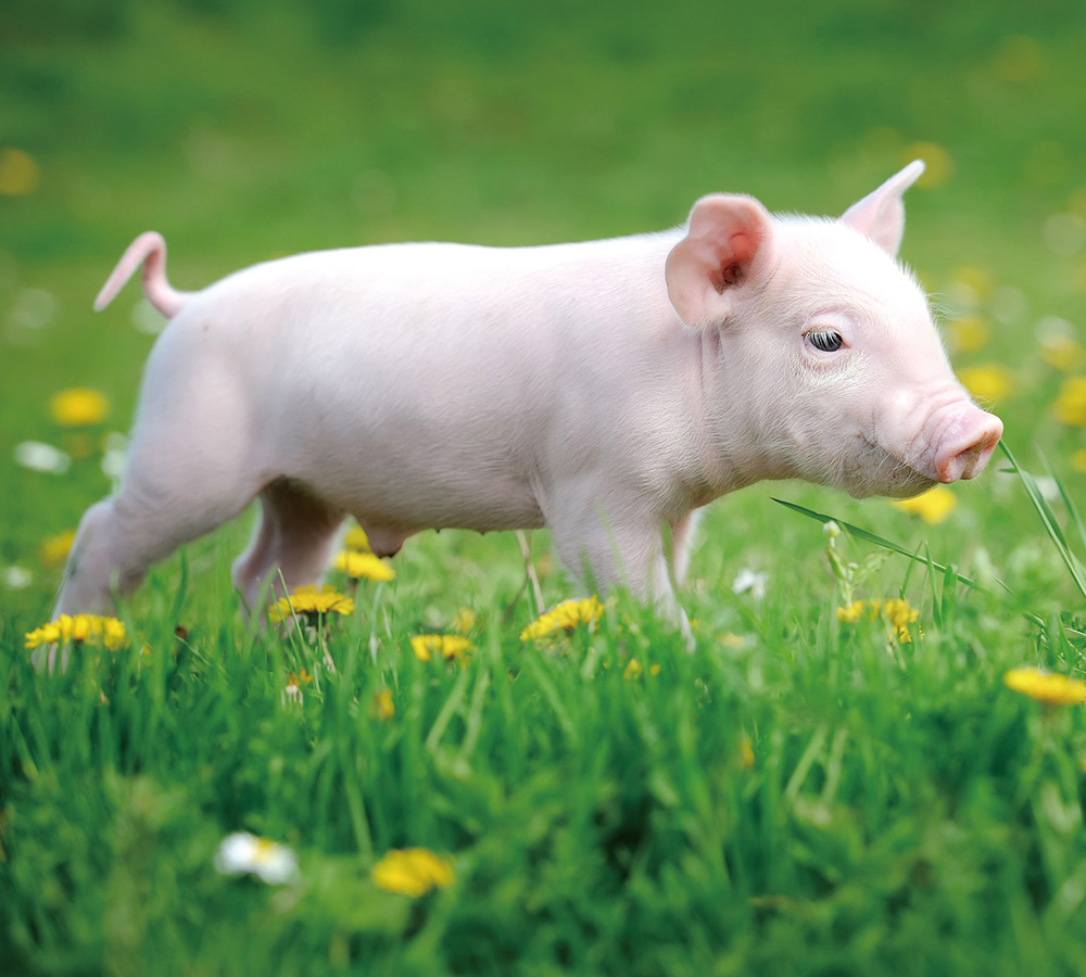 金榮鐵工廠/詮懋實業有限公司-公司簡介