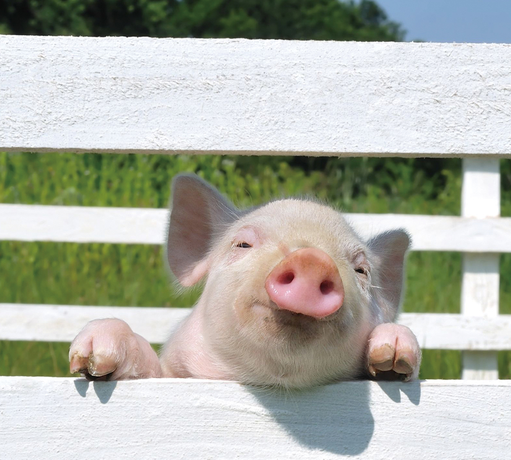 金榮鐵工廠/詮懋實業有限公司-公司簡介