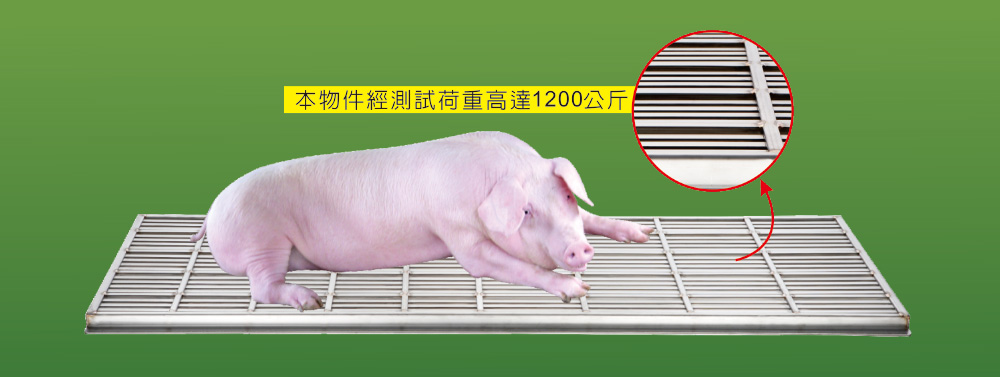 本物件經測試荷重高達1200公斤