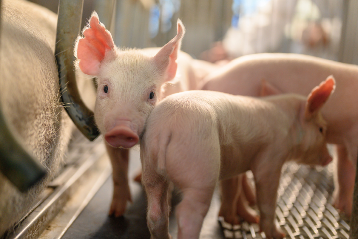 金榮鐵工廠 / 詮懋實業有限公司