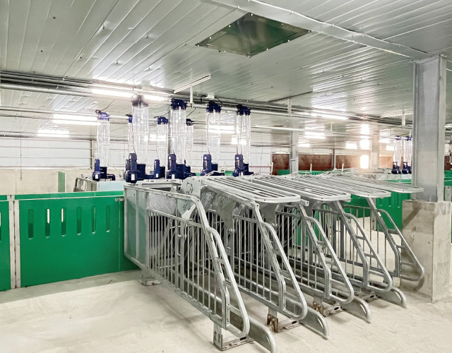 GESTAL 3G 待產母豬群養系統