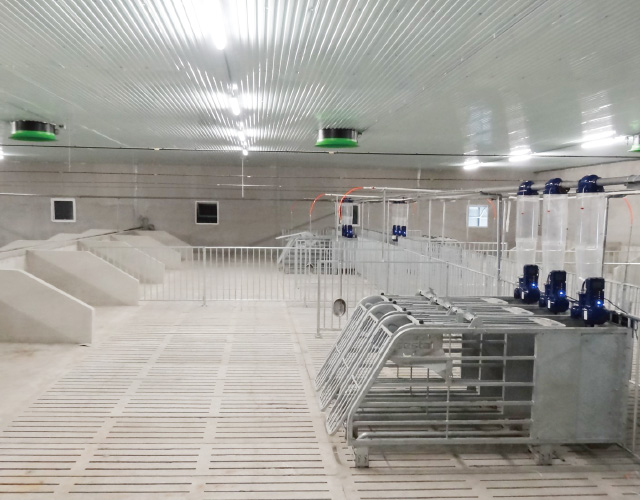 GESTAL 3G 待產母豬群養系統