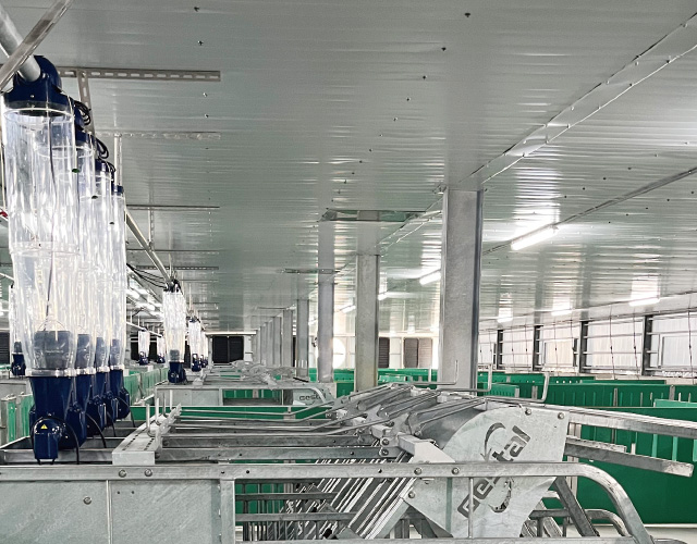 GESTAL 3G 待產母豬群養系統