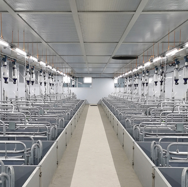 HATO 照明設備-豬照明