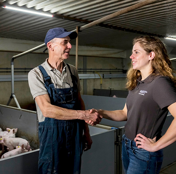 HATO 照明設備-豬照明