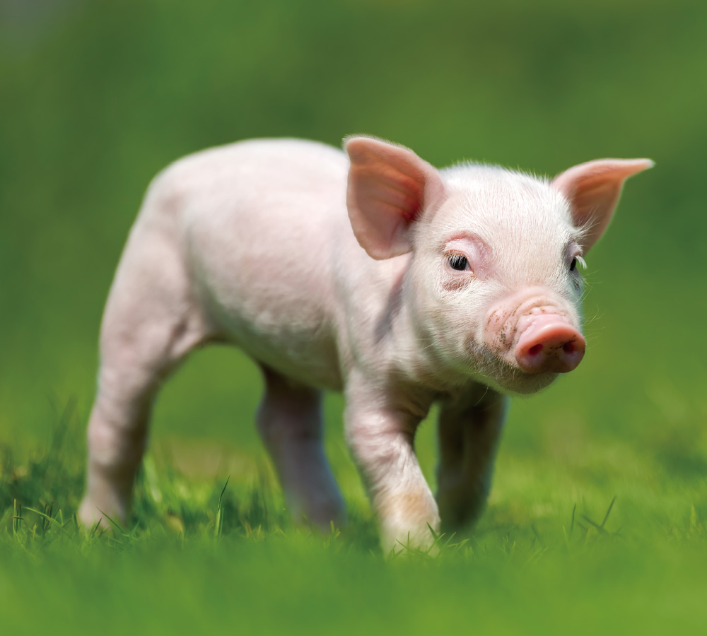 金榮鐵工廠/詮懋實業有限公司-公司簡介